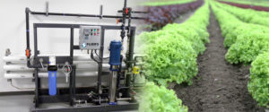 Agriculture Reverse osmosis