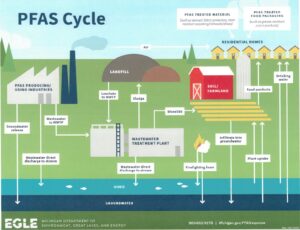 PFAS Cycle - PFOS Contamination Cycle